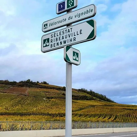 3 Stars Domaine Des Vignes - Kaysersberg Vignoble *
