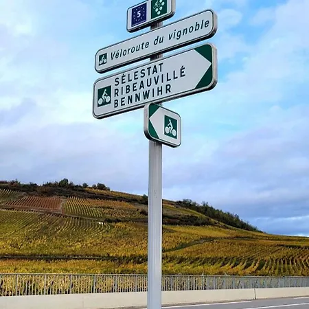 3 Stars Domaine Des Vignes - Kaysersberg Vignoble * Sigolsheim