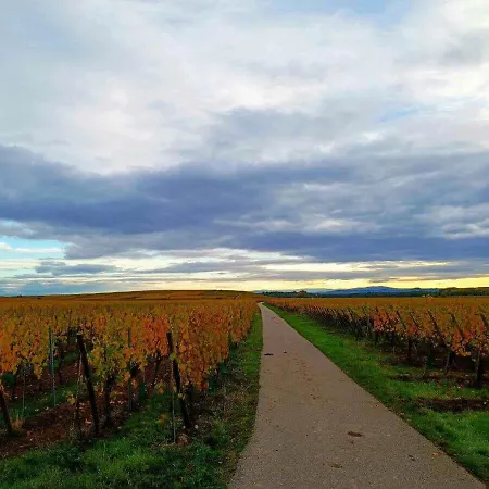 3 Stars Domaine Des Vignes - Kaysersberg Vignoble Apartman