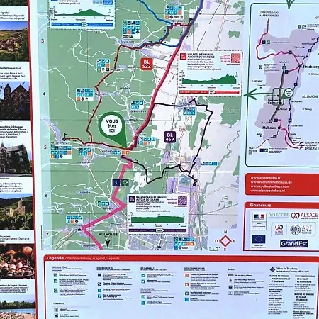 アパート 3 Stars Domaine Des Vignes - Kaysersberg Vignoble Sigolsheim