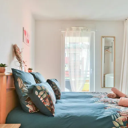 3 Stars Domaine Des Vignes - Kaysersberg Vignoble Sigolsheim